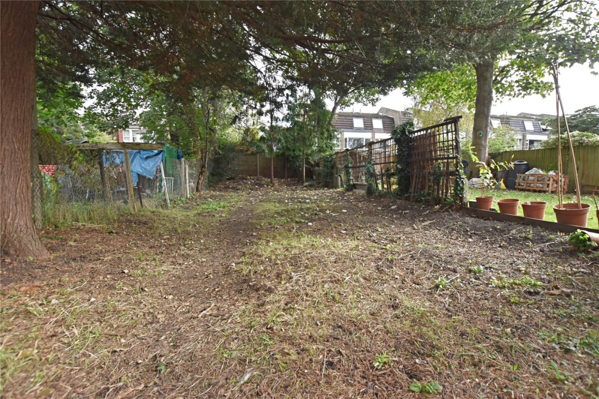 addsah snw170024 l img 05