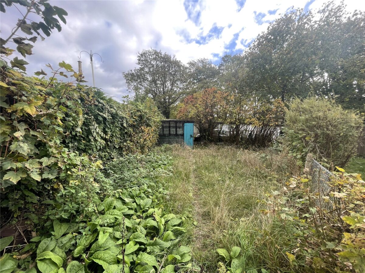 cousah cou220027 img 13