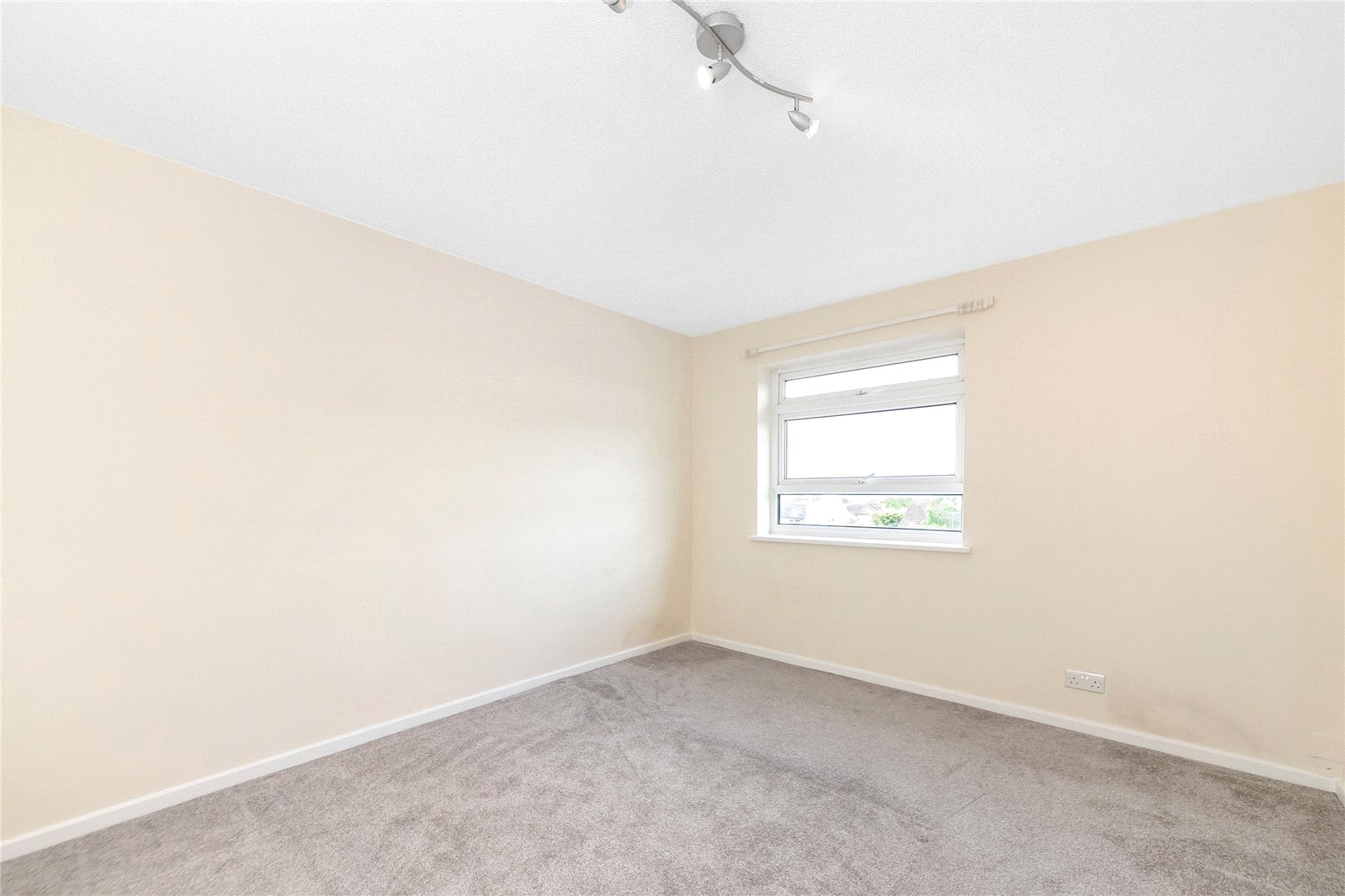 crpsah crp250179 l img 06