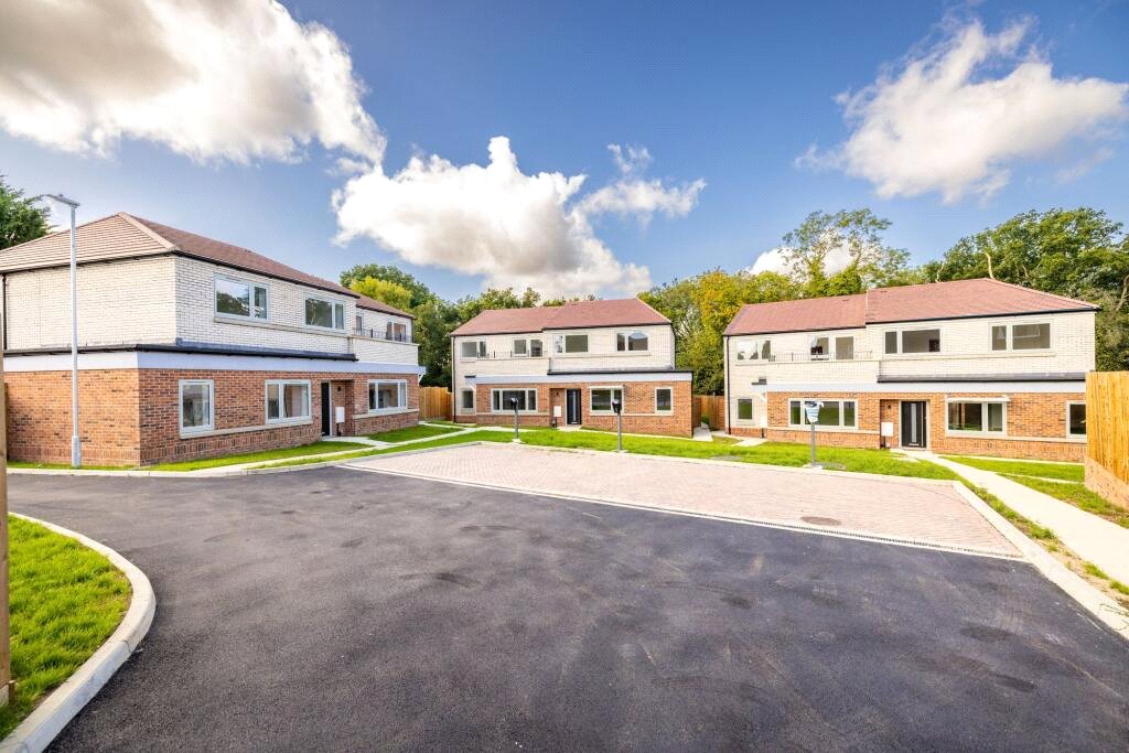 pursah new250019 img 00