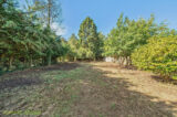 pursah pur250181 l img 17