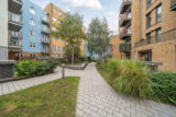 scrsah scr250351 l img 17
