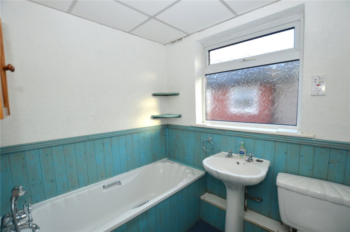 snwsah rpt130299 l img 02