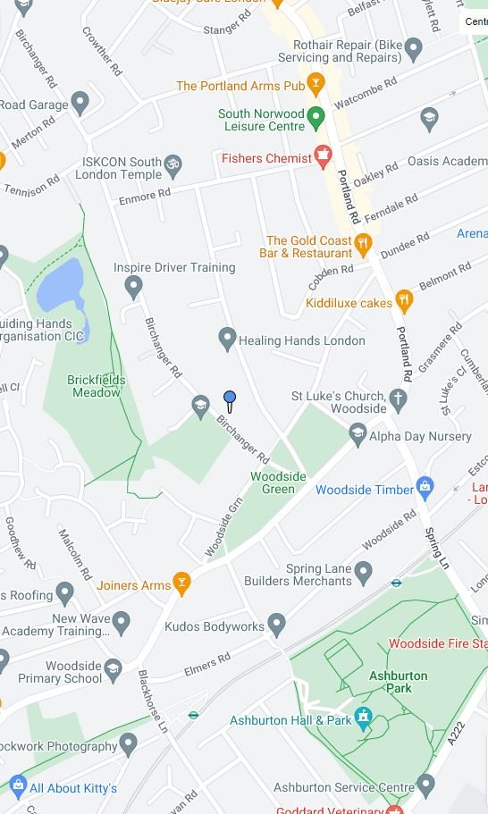 snwsah rpt130299 l img 06