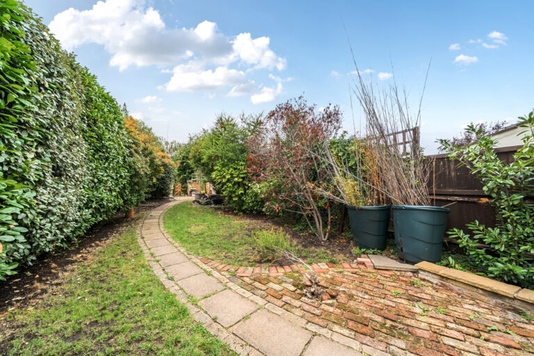 snwsah_snw260229_img_05.jpg snwsah snw260229 img 05