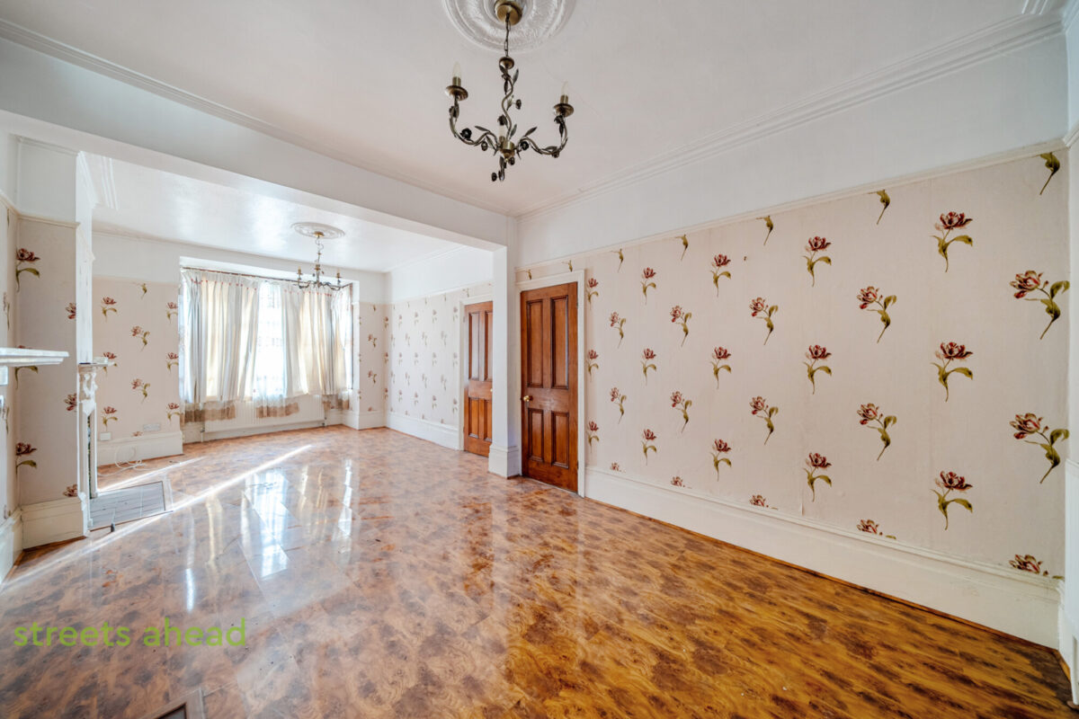 thosah snw250196 img 01