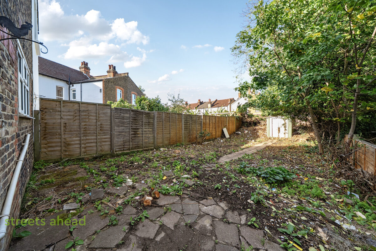 thosah snw250196 img 03