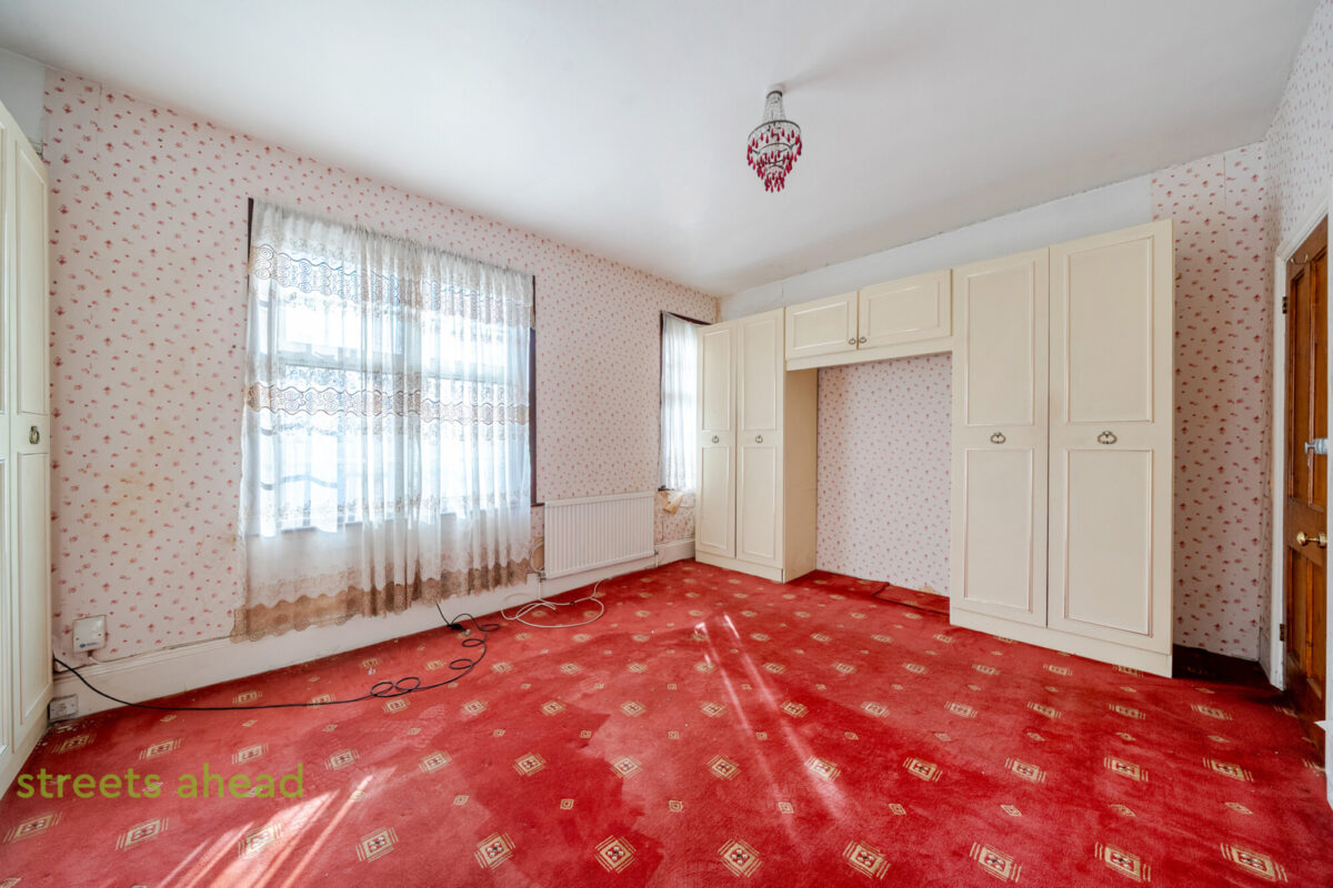 thosah snw250196 img 04