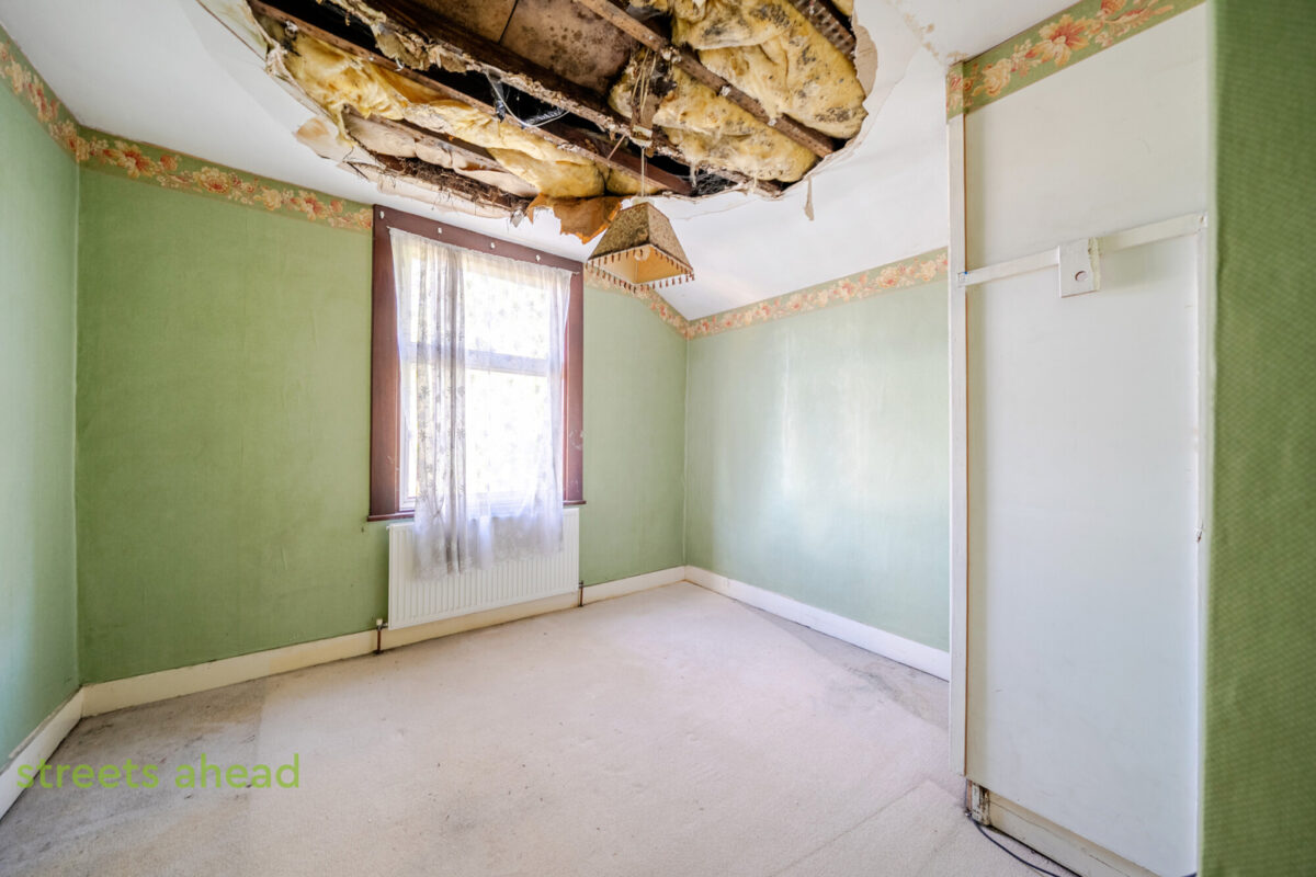 thosah snw250196 img 05