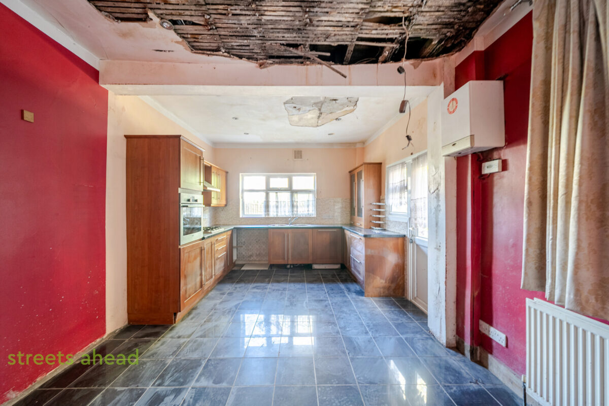 thosah snw250196 img 07