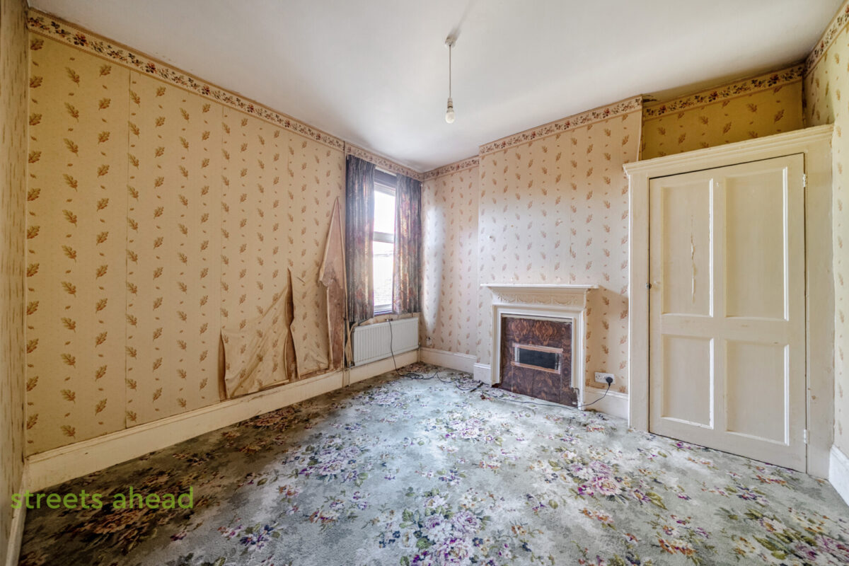 thosah snw250196 img 09