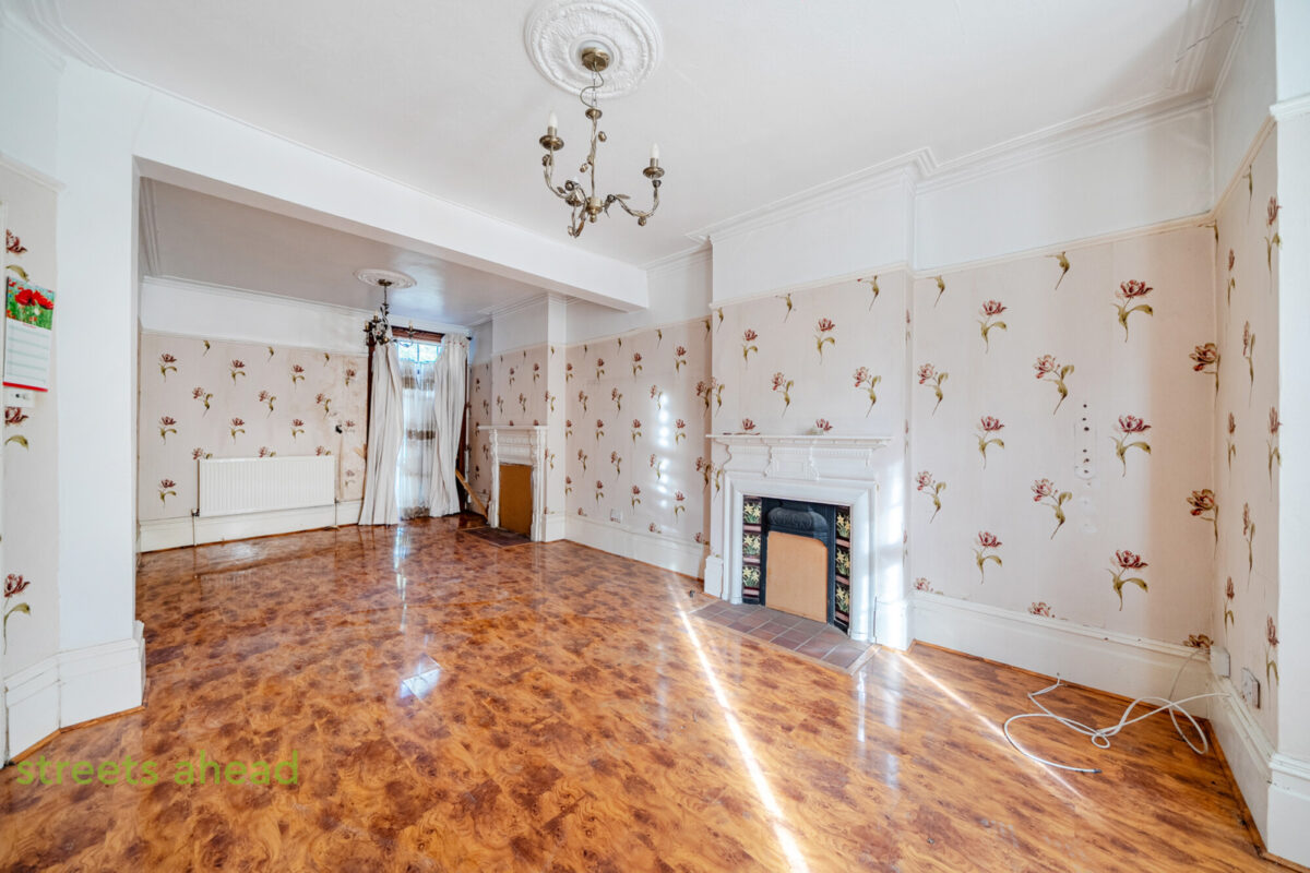 thosah snw250196 img 12